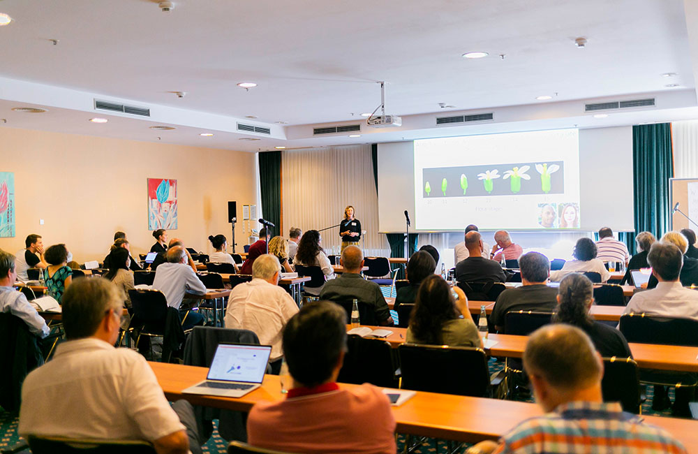 11. ZOMES Konferenz, Sarah Kossmann 11. ZOMES Konferenz, Sarah Kossmann